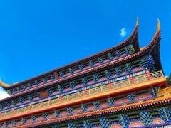 -东莞市大岭山森林公园
