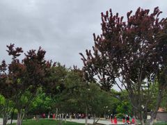 -西海子公园
