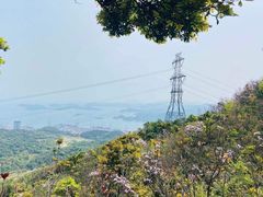 -梧桐山风景名胜区