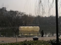 -莲湖公园