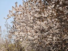 -咸阳湖景区-统一广场