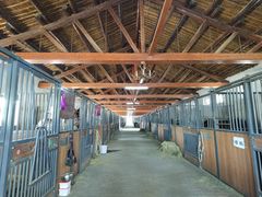 -北京群众马术培训基地