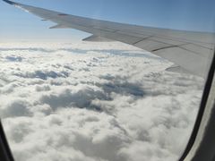 -全日本空输株式会社(上海办事处)
