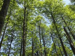 -罗田薄刀峰风景区
