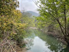 -木兰云雾山