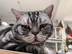 -小时光咖啡馆(北锣鼓巷店)