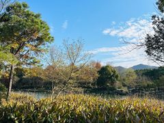 -西溪国家湿地公园