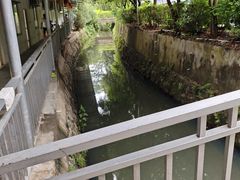 -莲湖山庄