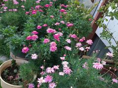 -兰纳泰式spa(古城店)