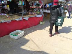 -十五大街农贸市场
