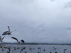 -花湖生态旅游区