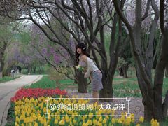 -石家庄市植物园