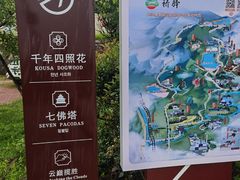 -长沙黑麋峰国家森林公园