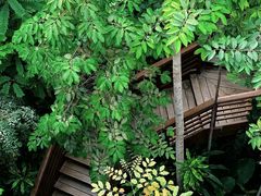 -郑州植物园