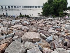 -宝安西湾红树林湿地公园