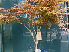 -咖星人E·T coffee·云赛空间