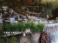 -宁波浙东大竹海景区