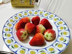 红颜草莓-鲜力达果品批发直销(青山店)