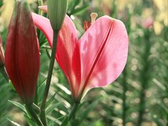 -长春公园(普阳街道)