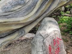 -大青沟风景区