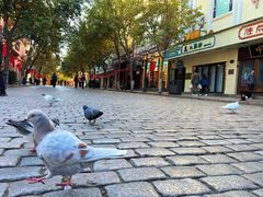 -哈尔滨犹太人活动旧址群(秋林洋行道里分行旧址)