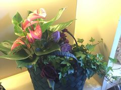 -花言草语(灵山路店)