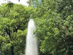 -九龙公园