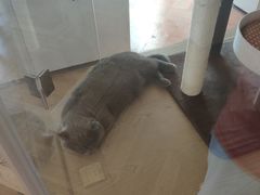 -Me Coffee下午茶艺术空间