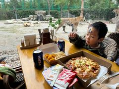 -上海野生动物园老虎餐厅