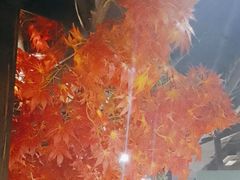 -小凤庭·地道湖北菜武昌鱼·藕汤(38年黄鹤楼店)