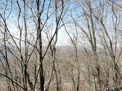 -帽儿山风景区