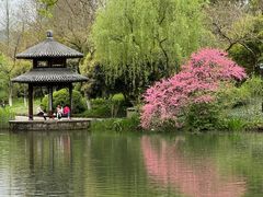 -杭州香格里拉·香宫中餐厅