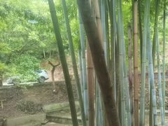 -世间香境·七溪地