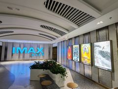 -大世界影城(无锡江南大悦城IMAX激光店)