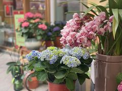 -泉乐坊步行街(烟酒特产平价超市店)