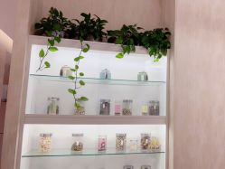 -诗媛嘉美健康管理中心(金桥店)