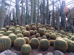 -南山植物园