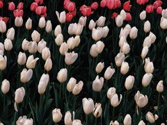 -长春公园(普阳街道)