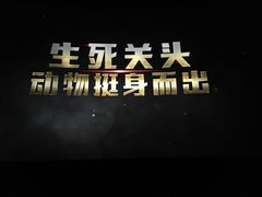 -百美汇影城(LUXE嘉里中心店)