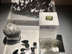 -中国地质博物馆