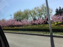 -威海大水泊国际机场