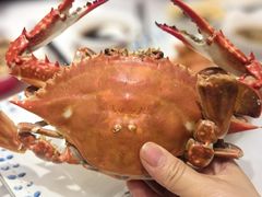 -北塘海鲜·天津菜·鲅鱼水饺是一绝(大光明桥旗舰店)