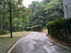 -青龙山国家森林公园