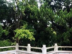 -叶家花园