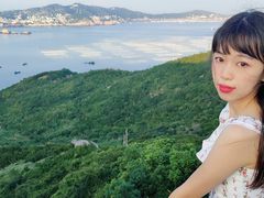-枸杞岛