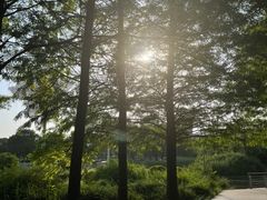 -郑州植物园