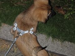 -宠颐生宠物医院·骨外科·犬猫全科诊疗中心(池州店)