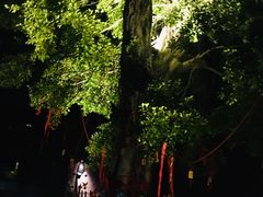 -广州从化都喜泰丽度假酒店温泉