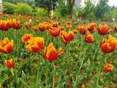 -长春公园(普阳街道)