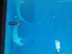 -华夏文旅西安度假区